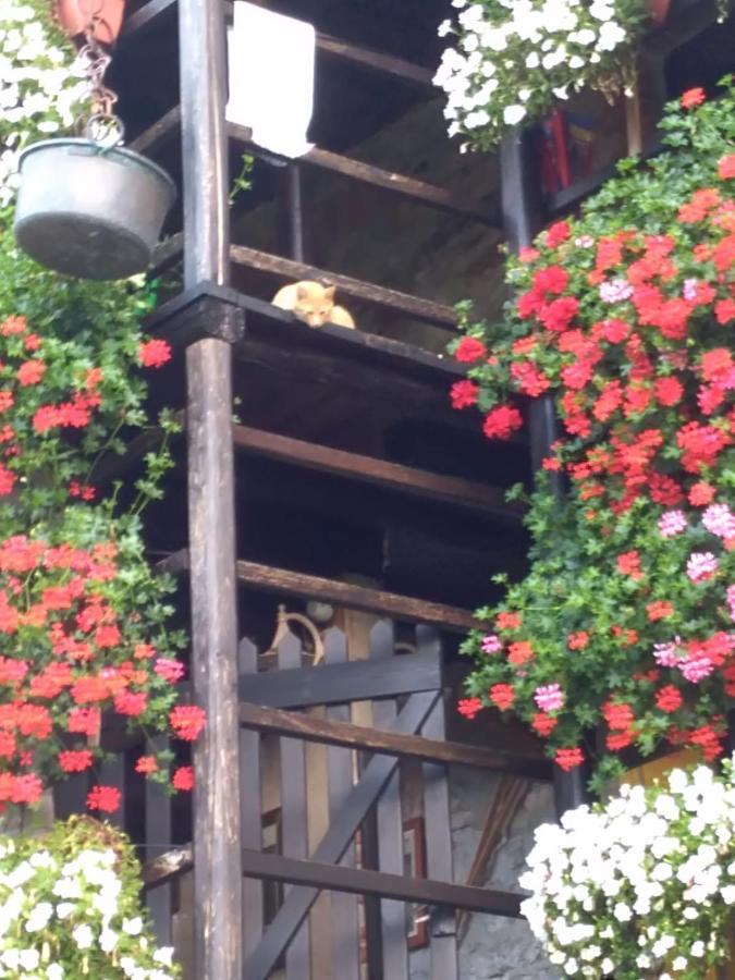 B&B "La Baita Delle Coccinelle" Варало Екстериор снимка